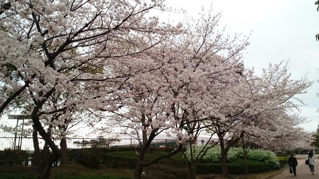 Abiko Guest House Matsubara Eksteriør bilde